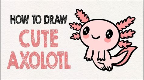 Axolotl Drawing