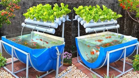 How to Design an Aquaponics System - A Garden Diary