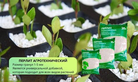 Польза перлита для растений, основные свойства и правила использования