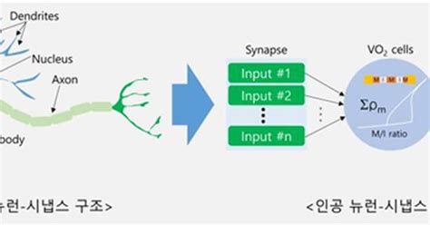 뇌 신경 닮은 반도체소자 개발 고효율·저전력 컴퓨팅 가능해 조선비즈
