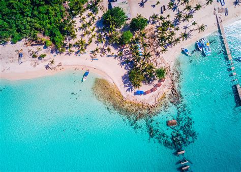 📍 12 Razones Para Ir De Excursión A Isla Saona En República Dominicana