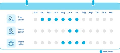 Pollen calendar