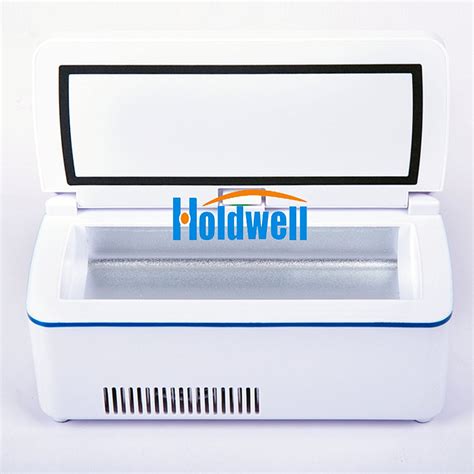 Holdwell Insulin Cooler Refrigerated Box Portable Drug Reefer Car Small