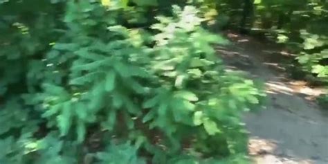 Rough Anal With A Stranger In The Park Tnaflix