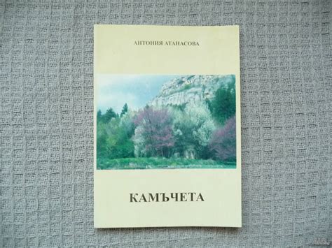 Камъчета - Антония Атанасова | Книги | Радомир Камъчета - Антония ...