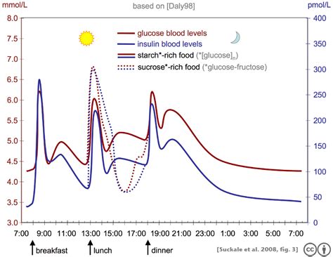 Reaching For The Ideal In Health | A Normal Blood Sugar Level