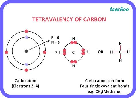 What Are Two Properties Of Carbon Which Lead To Huge Number Of Carbon