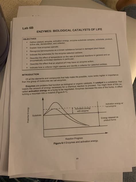 Lab B Enzymes Biological Catalysts Of Life Chegg