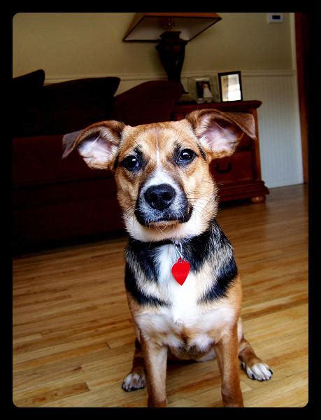 nanners  commanderstd  deviantart