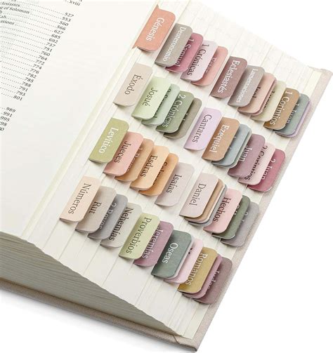 Tabs Espa Ol Para Biblia Ref Nude Store By Poly