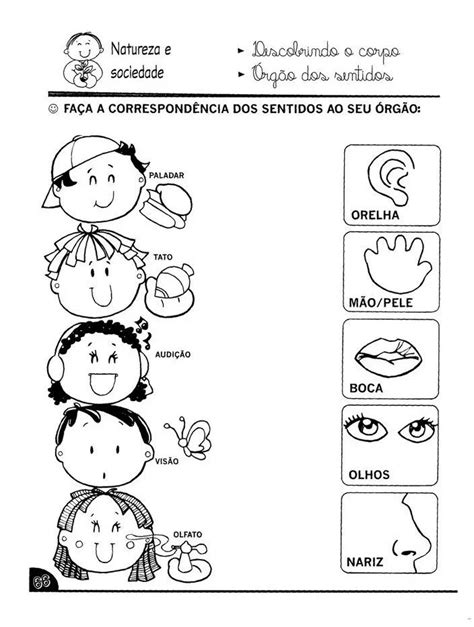 Atividades Sobre Os Cinco Sentidos Para Imprimir Atividades De