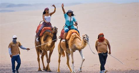 Camellos En Ica C Mo Llegar Precio De Entrada Y Qu Actividades