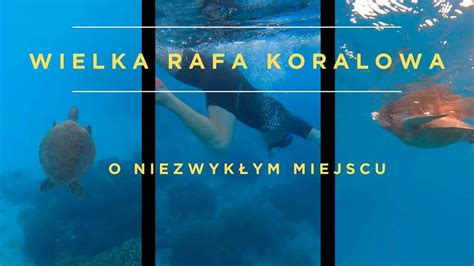 Wycieczka Wielka Rafa Koralowa W Australii Ozland Travel