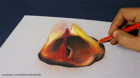 Realistic Fire Drawing at GetDrawings | Free download