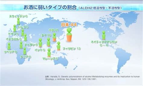 日本は世界でもお酒の弱い国だった！？ エキサイトニュース