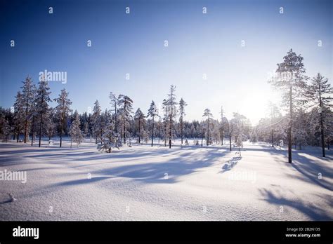 Winter in Lapland Finland Stock Photo - Alamy