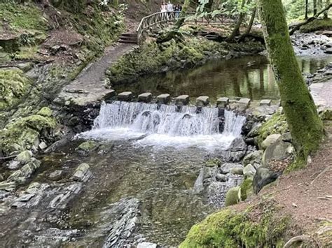 Best Hikes and Trails in Tollymore Forest Park | AllTrails