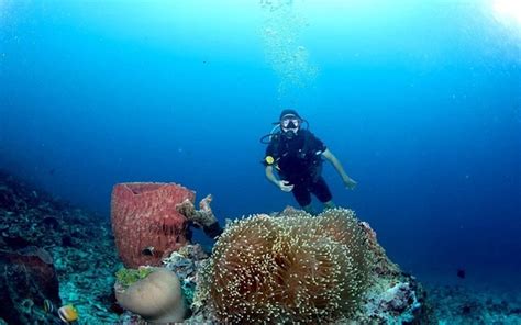 Đảo Bunaken Thiên đường Lặn Biển Lý Tưởng Trong Tour Du Lịch