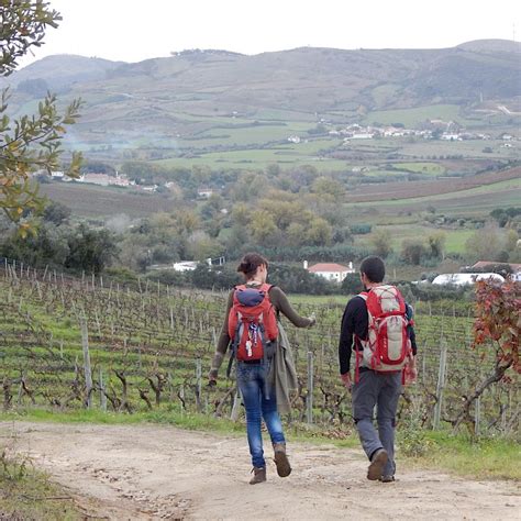 Rota Do Vinho E Da Vinha Torres Vedras GreenTrekker Pt