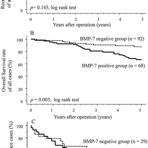 Postoperative Survival Curves Of Patients According To Their Expression