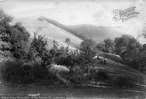 Photo Of Box Hill The Slopes 1903 Francis Frith