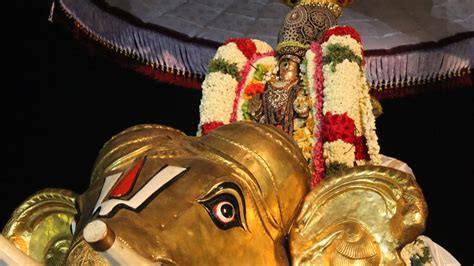 Triplicane parthasarathy temple brahmotsavam 2016 - holoserpool