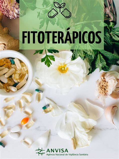 O Que É Remedio Fitoterapico