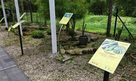 Allocation of RM3 Million for the Rebranding of Gopeng Herb Garden | Ipoh Echo