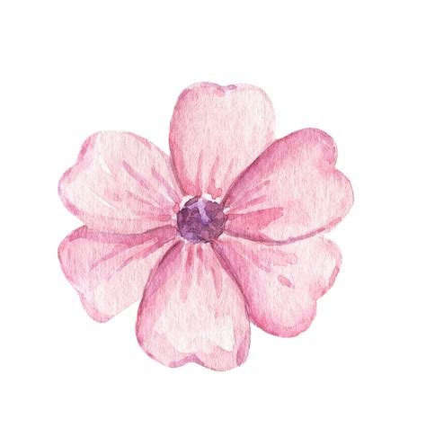 Fleur Rose Cute Flower Drawing Flower Drawing Pink Drawing