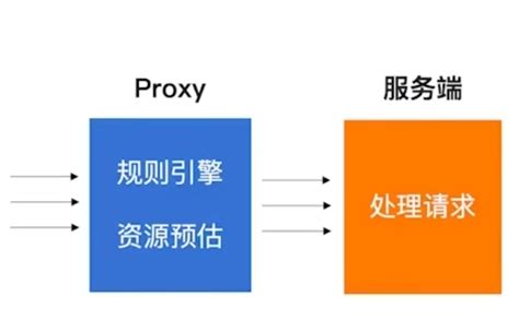 限流算法 黄瓜养殖基地！