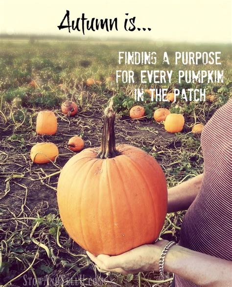 20 Fall Sayings For Pumpkins