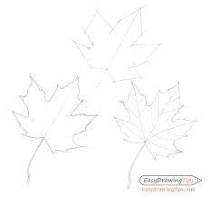 How to draw Maple Leaf Idea 6 step by step - Drawing Photos