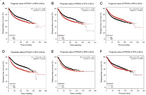 Prognostic Value Of Prdxs Mrna In Brca Patients Rfs Rfs Curves Were