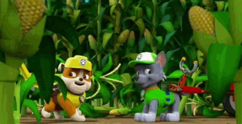 Paw Patrol Pups Paw Patrol Pups Corn Descubre Y Comparte My Xxx Hot Girl