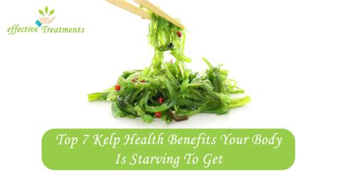 Top 7 Kelp Health Benefits Your Body Is Starving To Get