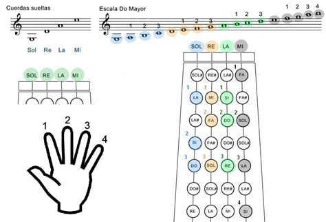 ViolÍn Cómo Poner Las Marcas De Tu Violín Musik Mastermind