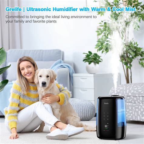 Amazon Grelife Home L Warm And Cool Humidifier