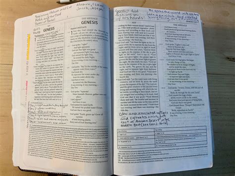 Now You Can Answer Genesis Bible Study Questions with this PDF