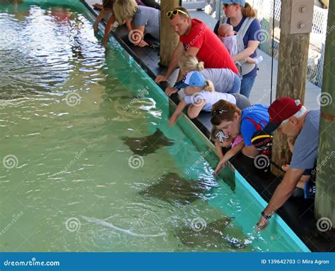 Tampa Electric`s Manatee Viewing Center Editorial Stock Photo - Image
