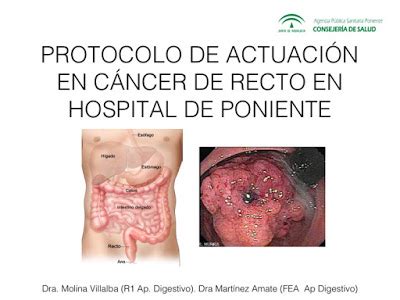 D Patolog A Anorrectal Endoscopia Digestiva