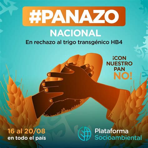 Panazo Nacional En Rechazo Al Trigo Transgénico Hb4 Biodiversidad En América Latina