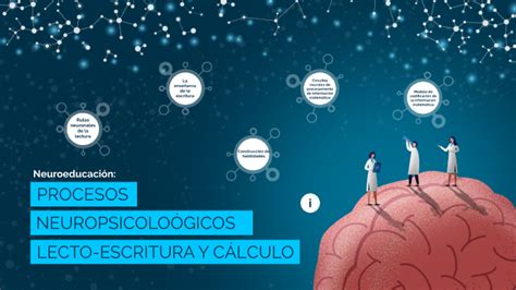 Neuroeducaci N Procesos Neuropsicol Gicos De La Lecto Escritura Y El