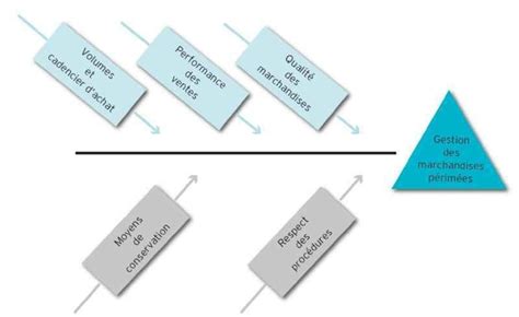 Le Diagramme Causes Effet