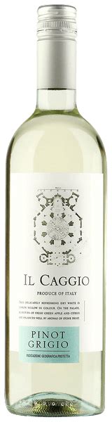 Il Caggio Pinot Grigio Vivino Brasil