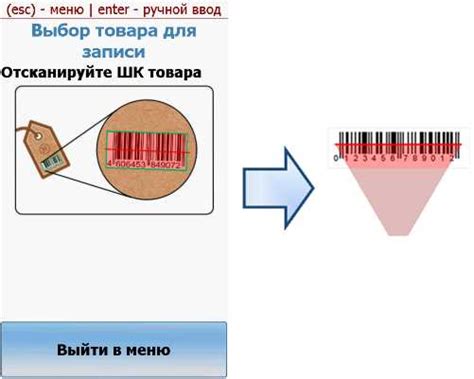 Киз маркировка – | | () |