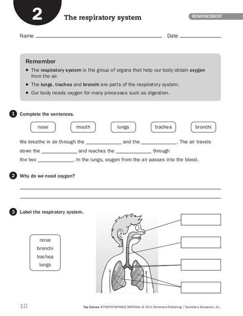 Grade 6 Natural Science Worksheets Term 2