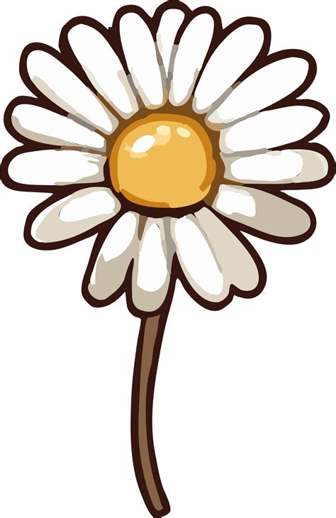 Chamomile Png Graphic Clipart Design 23623325 Png