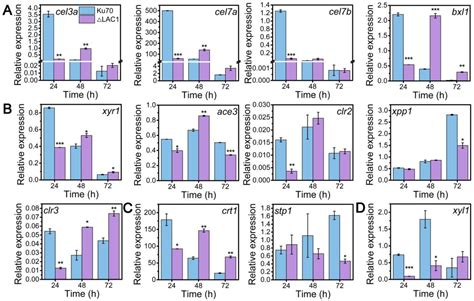 Biomolecules Free Full Text Intracellular Sugar Transporters