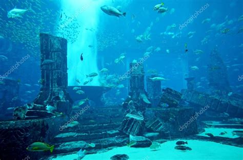 Aquarium of Atlantis the Palm hotel Stock Photo by ©Marina 43030375