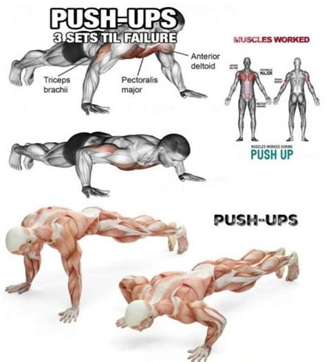 The Best 3 Variation Pushup Executing, Tips, Benefits | Exercises & Guide